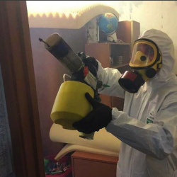 Уничтожение клопов в квартире. Таштагол